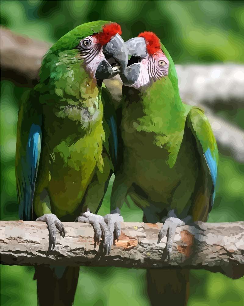 Vögel