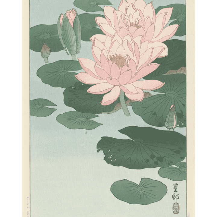 Malen nach Zahlen - Blühende Seerose - Ohara Koson