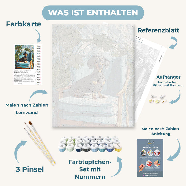 Malen nach Zahlen - Ein posierender Dackel