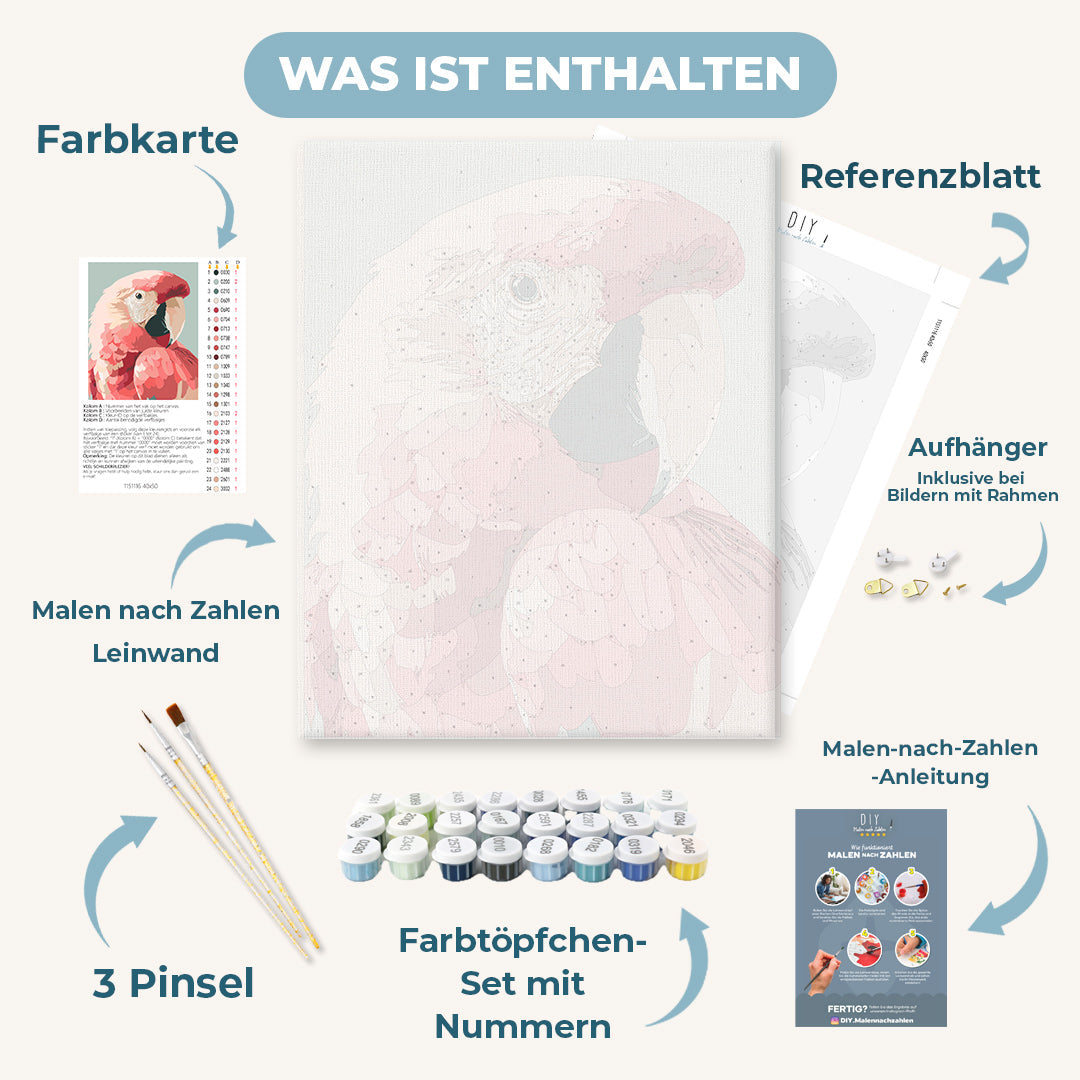 Malen nach Zahlen - Rosa Ara