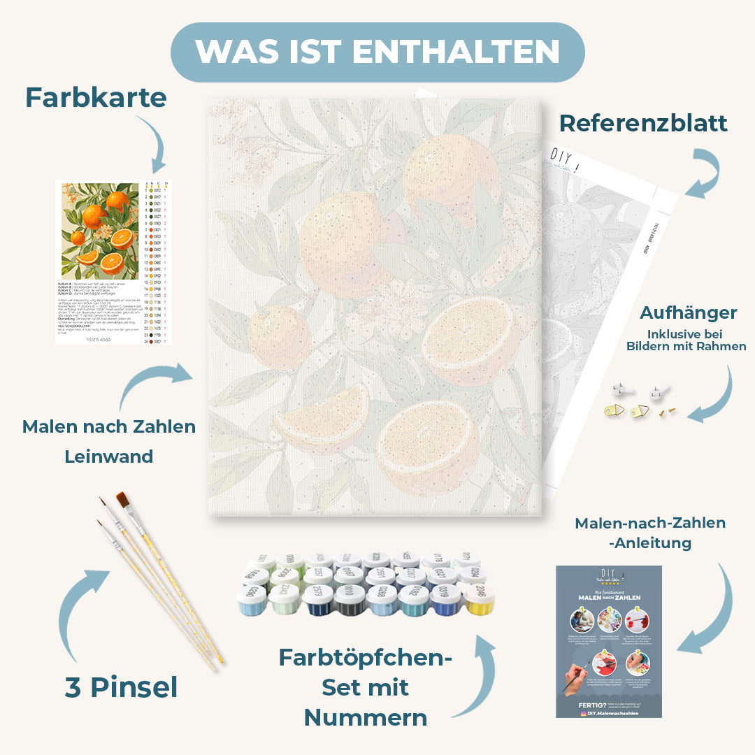 Malen nach Zahlen - Blühende Orangen