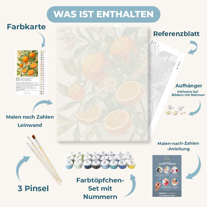 Malen nach Zahlen - Blühende Orangen