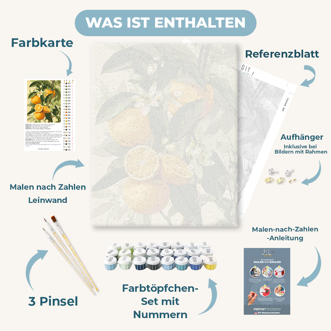 Malen nach Zahlen - Blühende Zitrusfrüchte