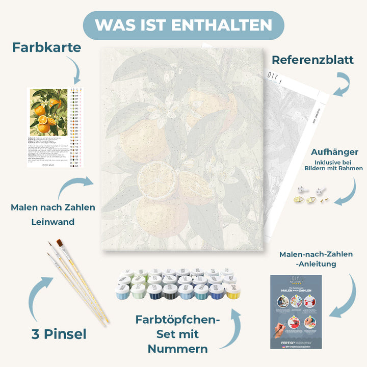 Malen nach Zahlen - Blühende Zitrusfrüchte