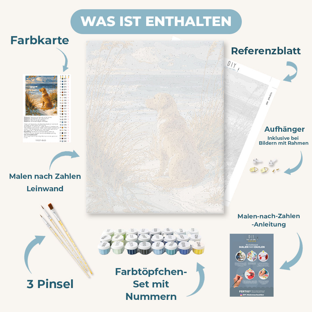 Malen nach Zahlen - Wartender Labrador