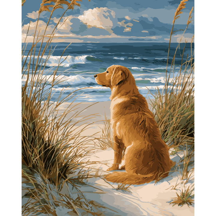Malen nach Zahlen - Wartender Labrador
