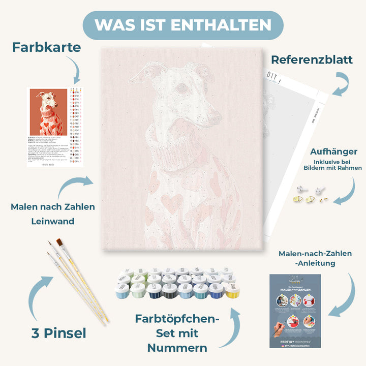 Malen nach Zahlen - Windhund in Pink