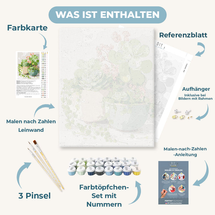 Malen nach Zahlen - Frühlings-Sukkulenten
