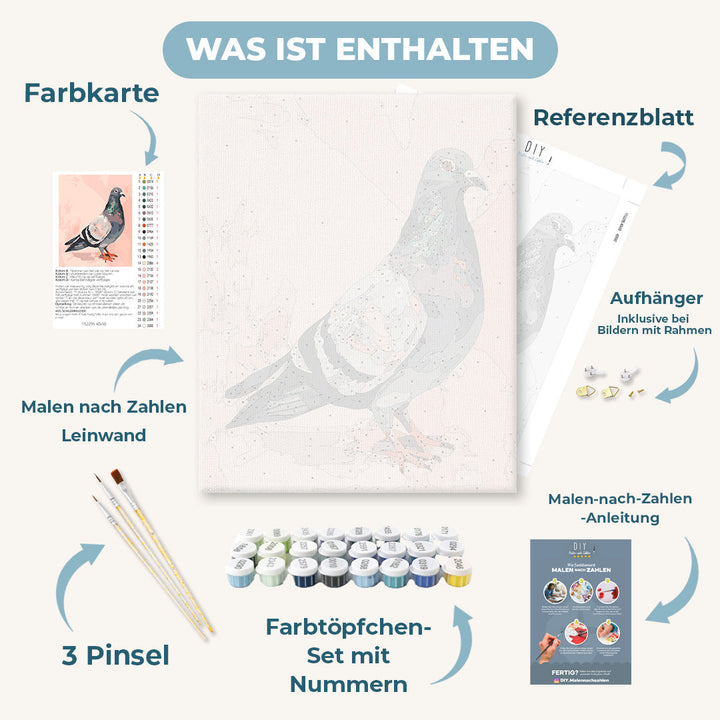 Malen nach Zahlen - Nachbar