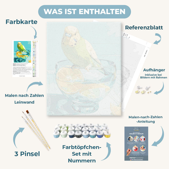 Malen nach Zahlen - Wellensittich und Zitronenstücke