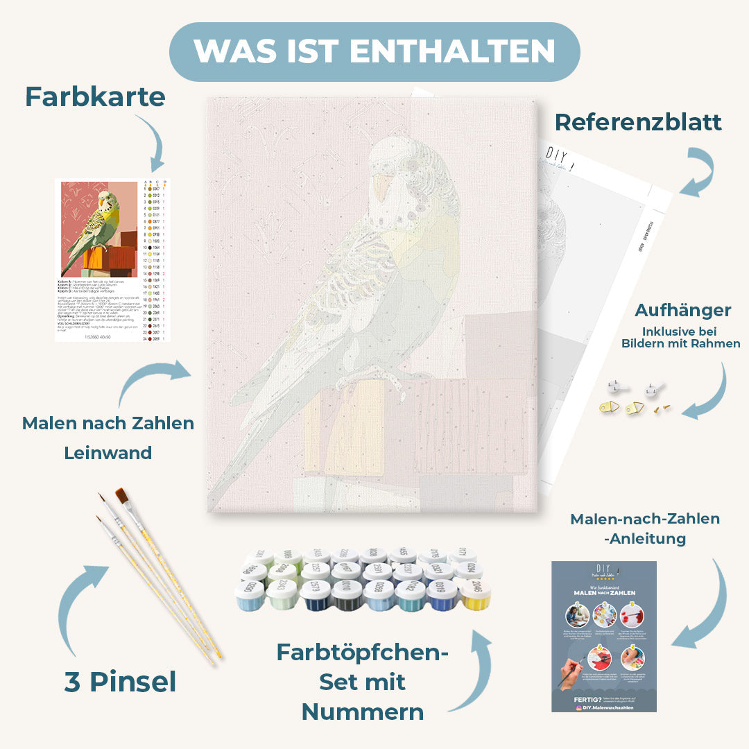 Malen nach Zahlen - Grüner Wellensittich
