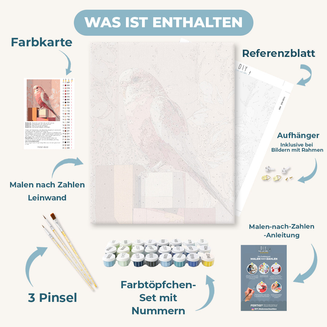 Malen nach Zahlen - Rosa Wellensittich