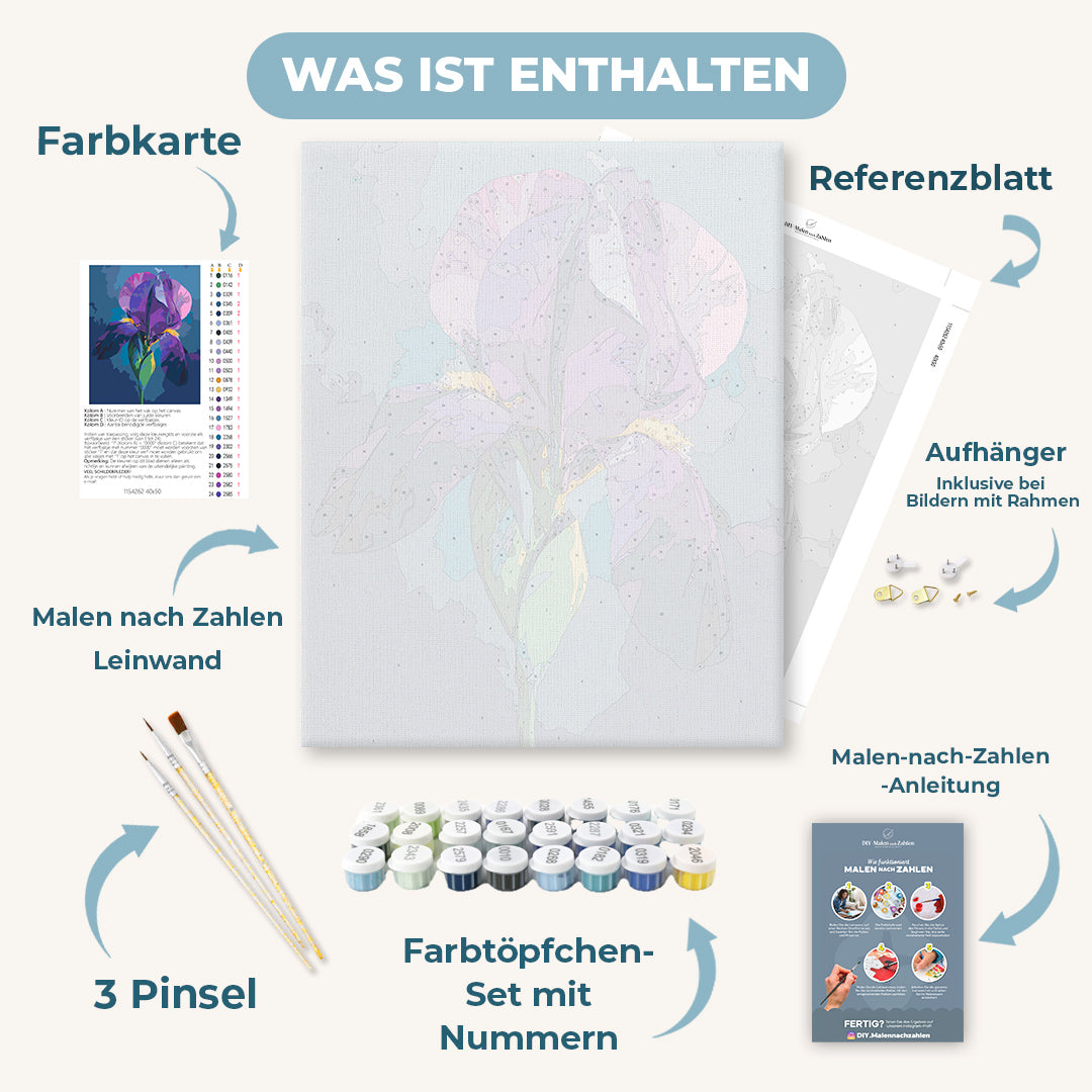 Malen nach Zahlen - Samt-Iris
