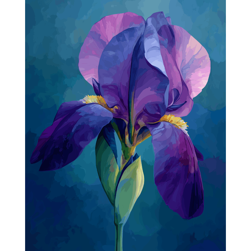 Malen nach Zahlen - Samt-Iris