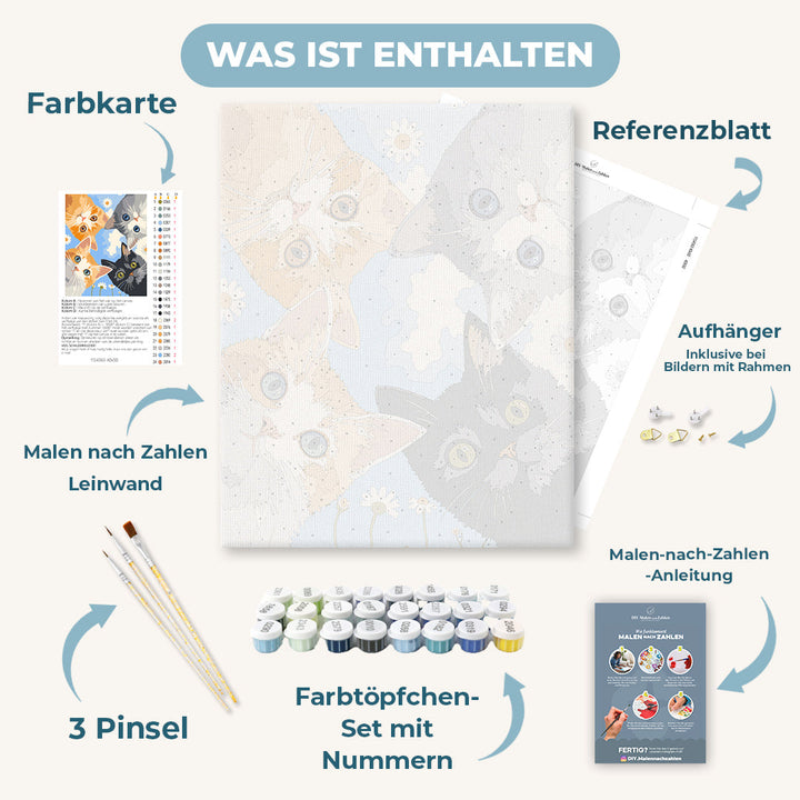 Malen nach Zahlen - Kätzchen Blick
