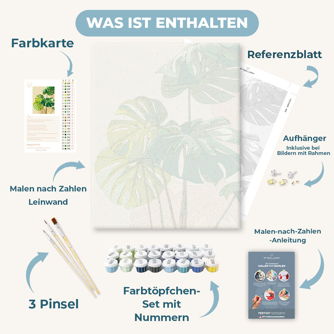 Malen nach Zahlen - Sonnenbeschienene Monstera