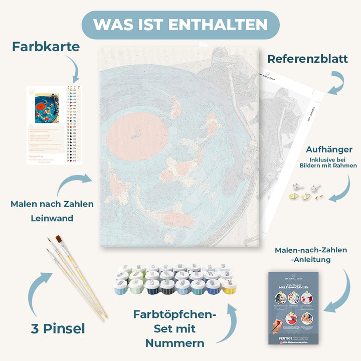 Malen nach Zahlen - Koi Schallplatten