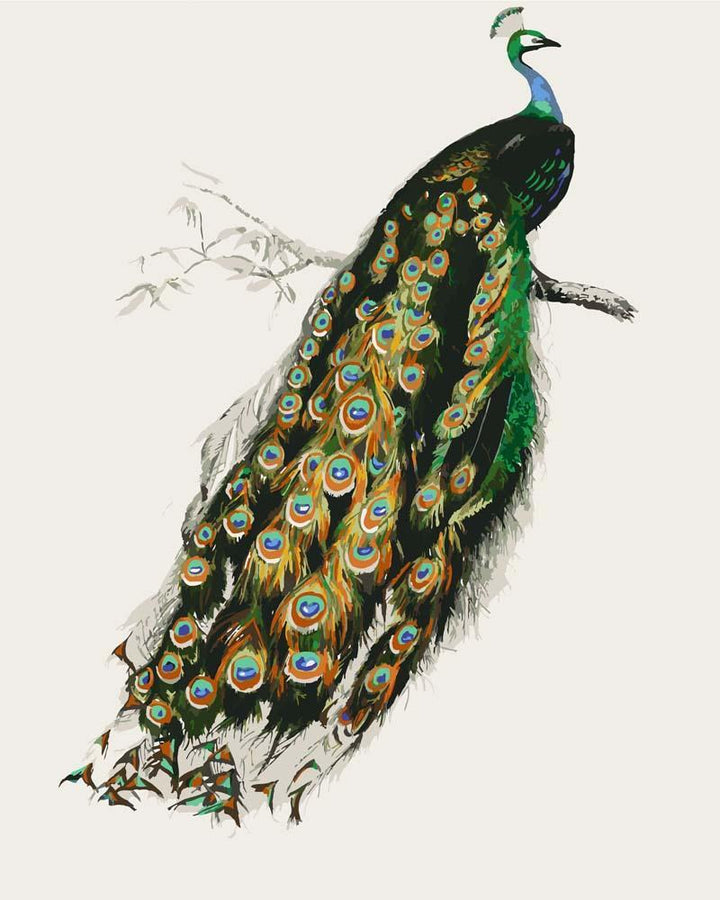 Malen nach Zahlen - Indische Pfau (Pavo cristatus) von Charles Dessalines D_ Orbigny