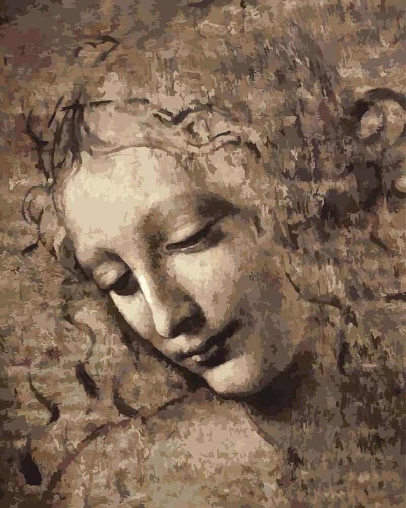 Malen nach Zahlen - La Scapigliata - Leonardo da Vinci
