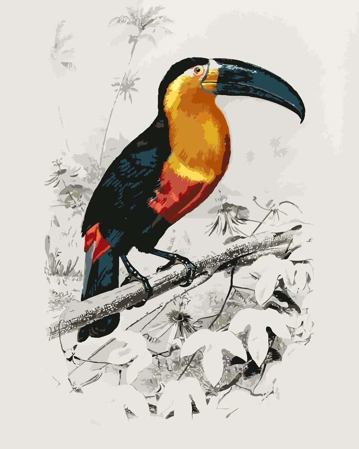 Malen nach Zahlen - Tukan (Ramphastos) illustriert von Charles Dessalines D_ Orbigny