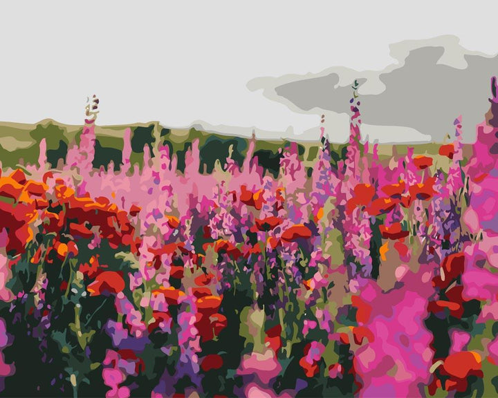 Malen nach Zahlen - Mohn und Klatschmohn