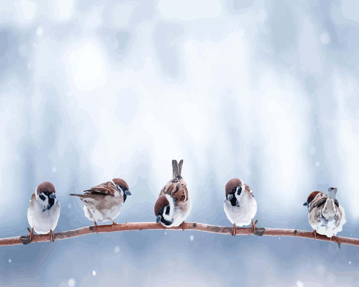 Malen nach Zahlen - Kleine süße Vögel