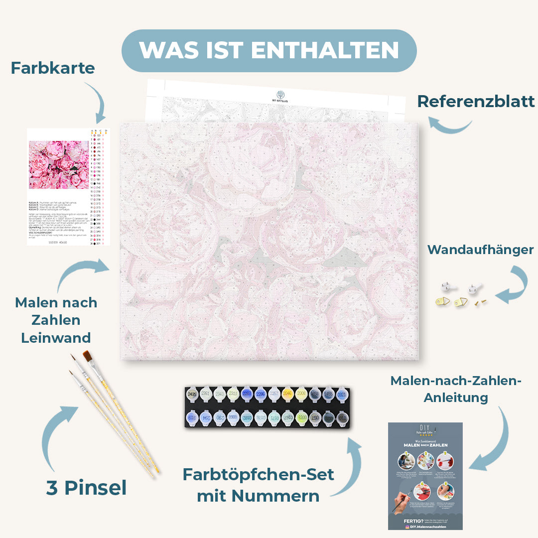 Malen nach Zahlen - Pinke Pfingstrosen Hintergrund