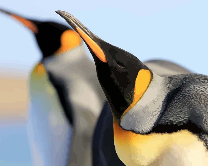 Malen nach Zahlen - Königspinguine
