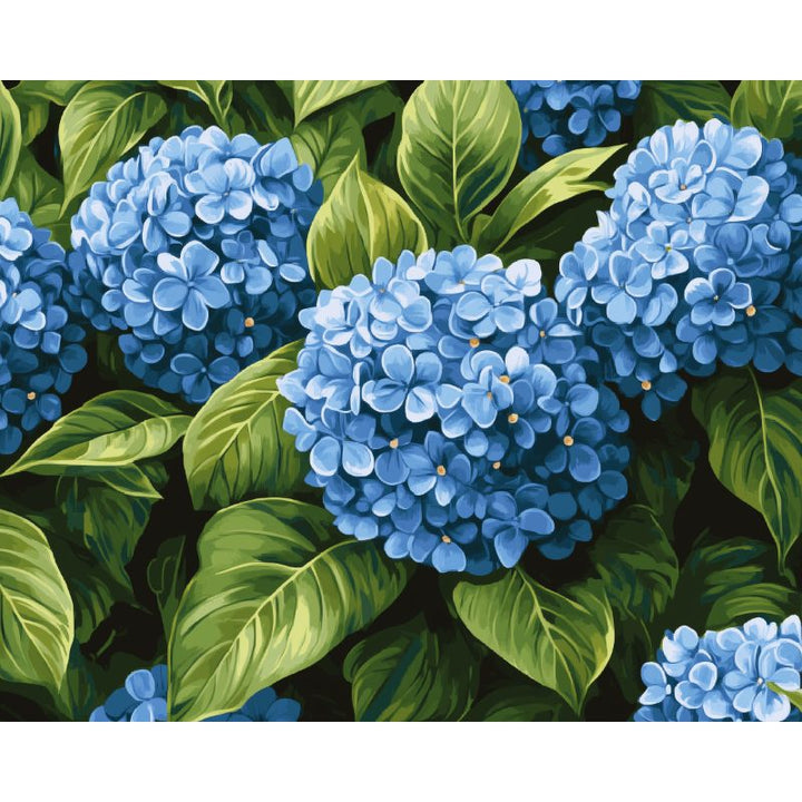 Malen nach Zahlen - Blaue Hortensienblüten