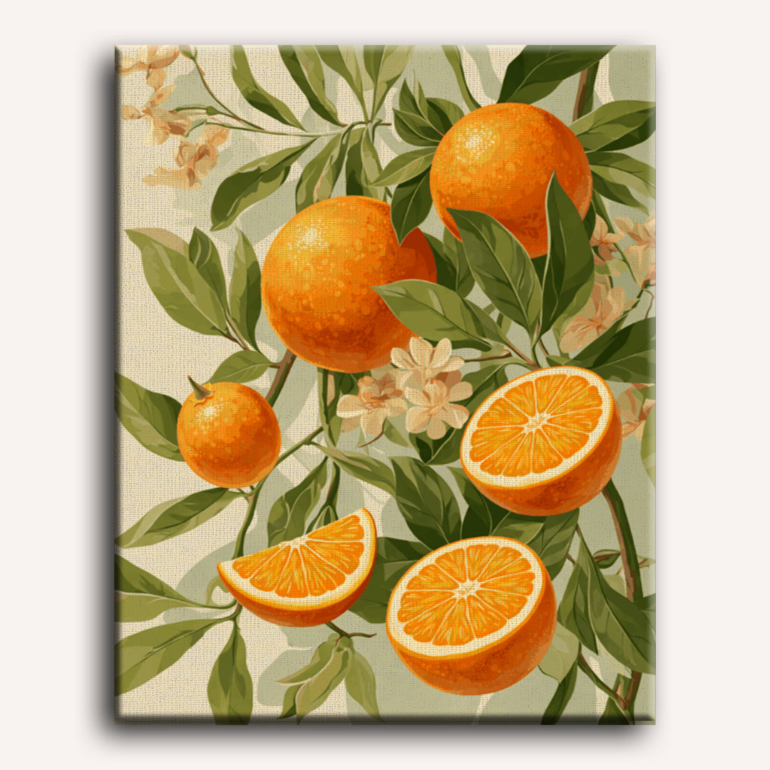 Malen nach Zahlen - Blühende Orangen
