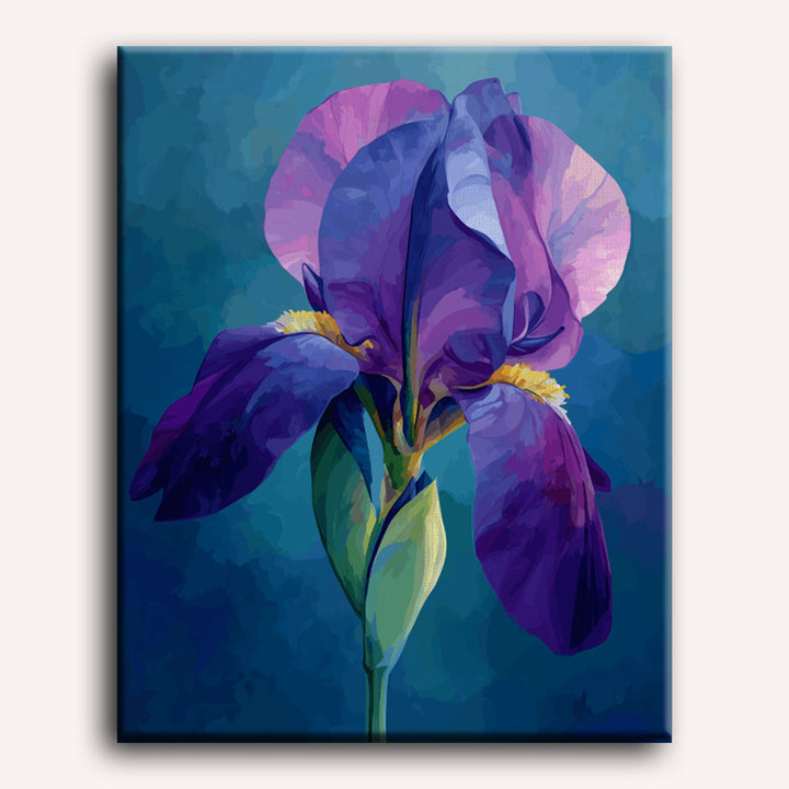 Malen nach Zahlen - Samt-Iris
