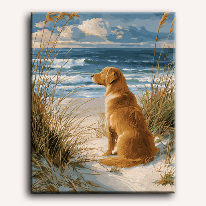 Malen nach Zahlen - Wartender Labrador